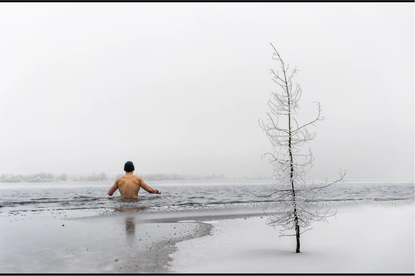 A swimmer in cold water beside a snow-covered shore and a frost-covered tree.